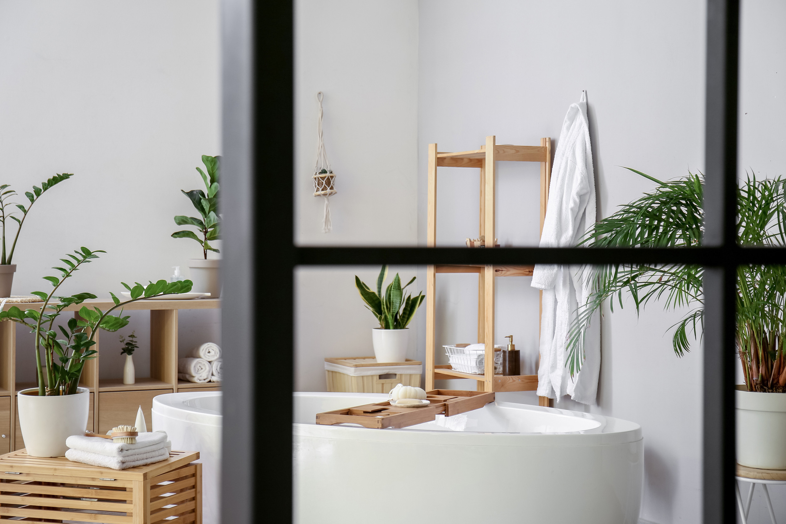 Interior of stylish bathroom with houseplants and shelving unit Interior of stylish bathroom with houseplants and shelving unit