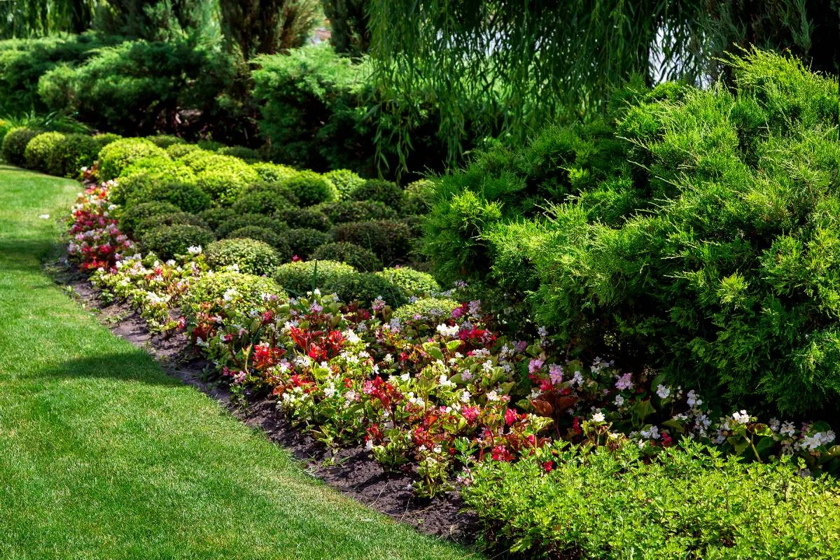 Is Ground Cover Right for Your Yard — Is Ground Cover Right for Your Yard?